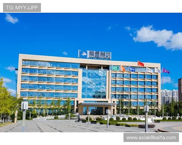 凯发集团手机版下载平台推荐，确保安全稳定的游戏环境体验